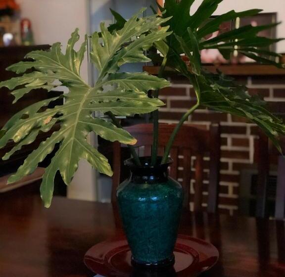 膳宿费 Albany Foreshore Guest House