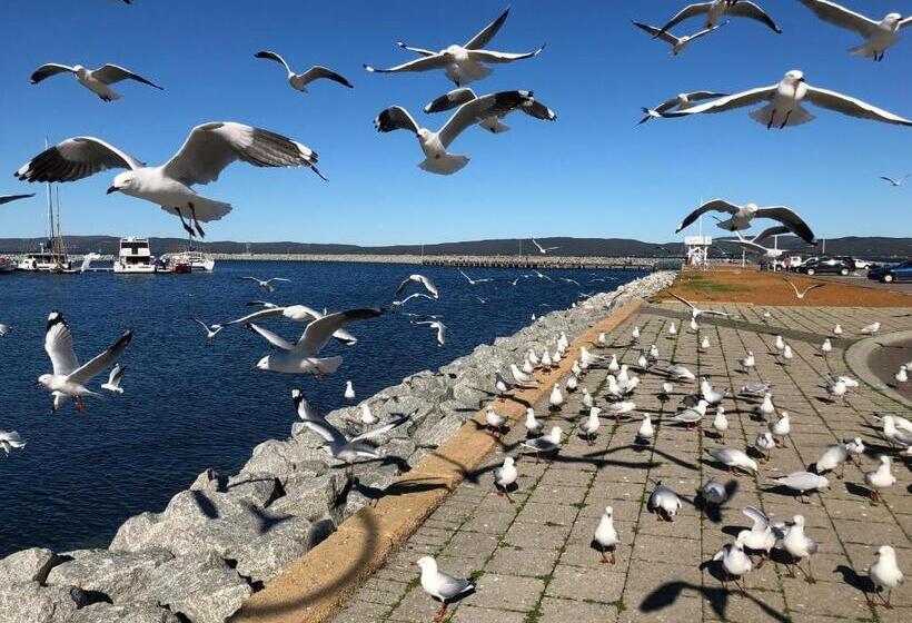 膳宿费 Albany Foreshore Guest House