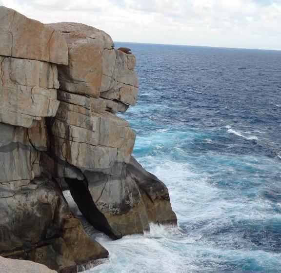 膳宿费 Albany Foreshore Guest House