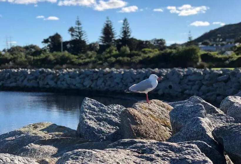 Pensão Albany Foreshore Guest House