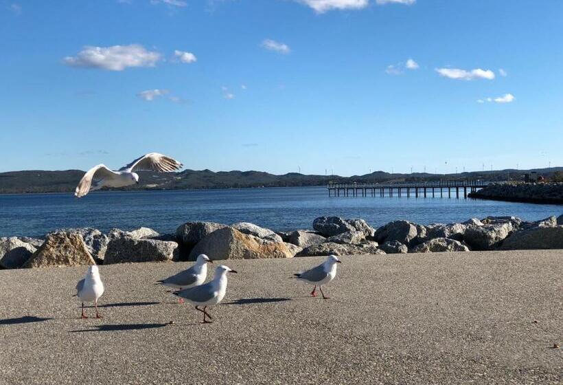 膳宿费 Albany Foreshore Guest House