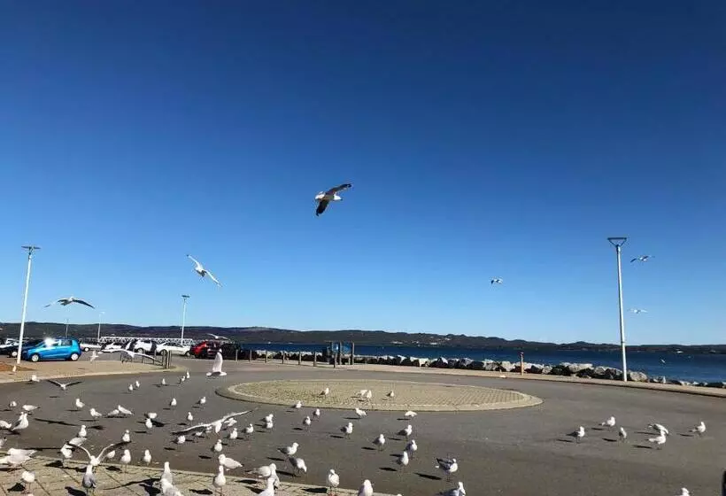 Pensão Albany Foreshore Guest House