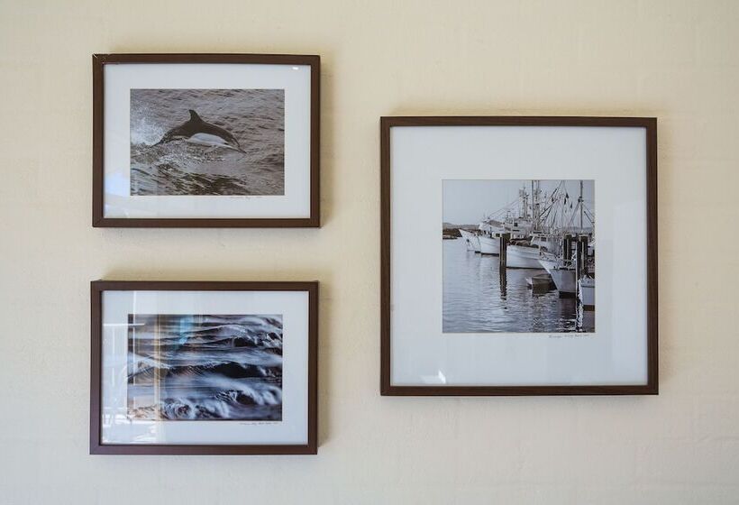 Seashells Apartments Merimbula