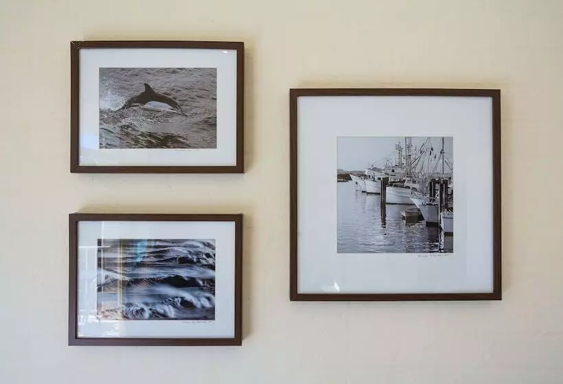 Seashells Apartments Merimbula