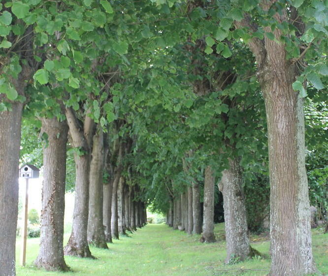 تختخواب و صبحانه La Maison De Bayeux