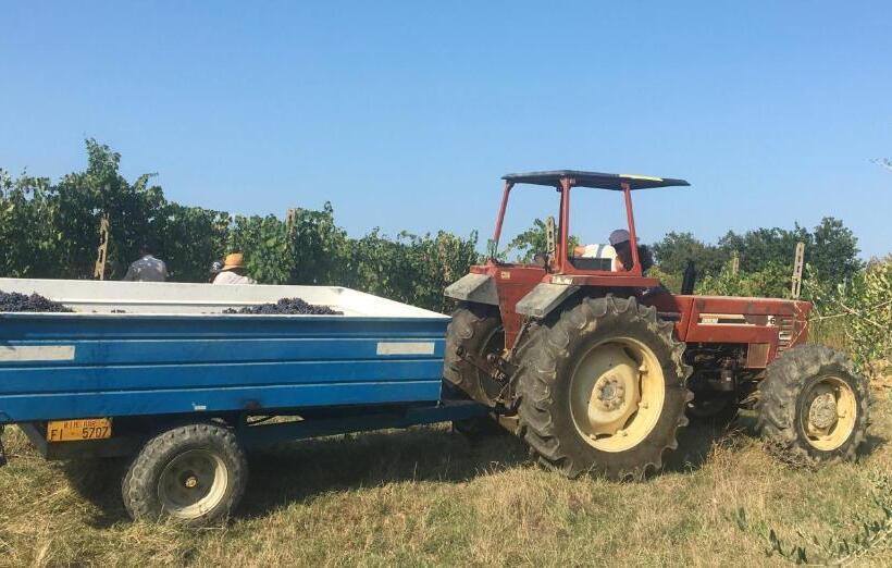 בית מלון כפרי Agriturismo Rigone In Chianti