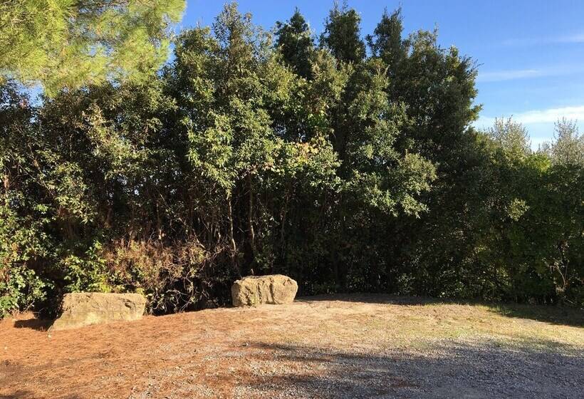 בית מלון כפרי Agriturismo Rigone In Chianti