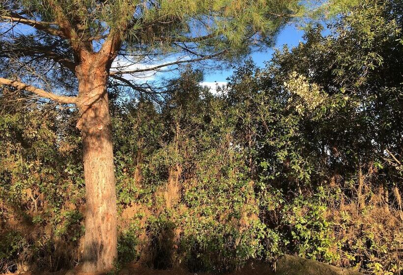 בית מלון כפרי Agriturismo Rigone In Chianti