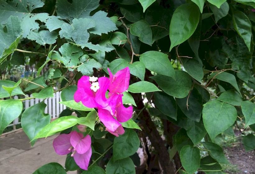 Отель Battambang Lotus