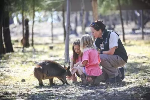호텔 Billabong Camp At Taronga Western Plains