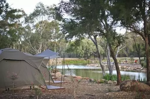 호텔 Billabong Camp At Taronga Western Plains