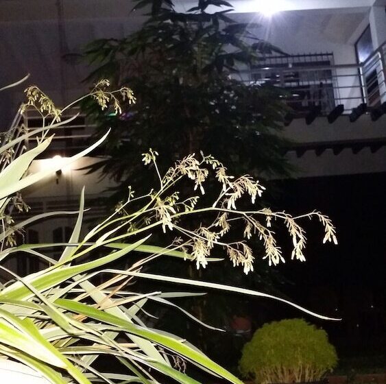 فندق City Resort