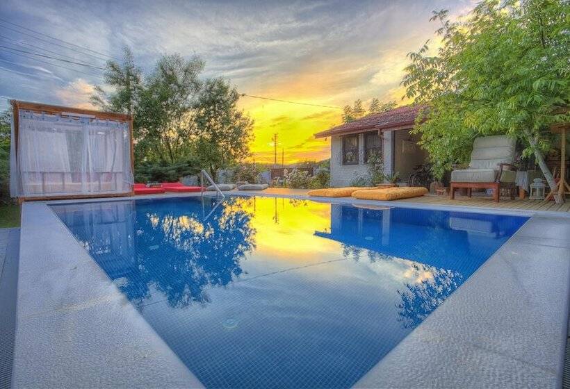 Отель Ephesus Lodge