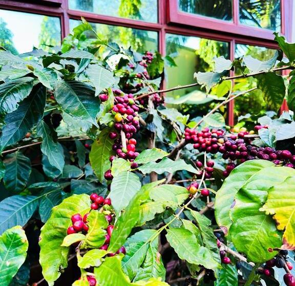 호텔 Green Mountain