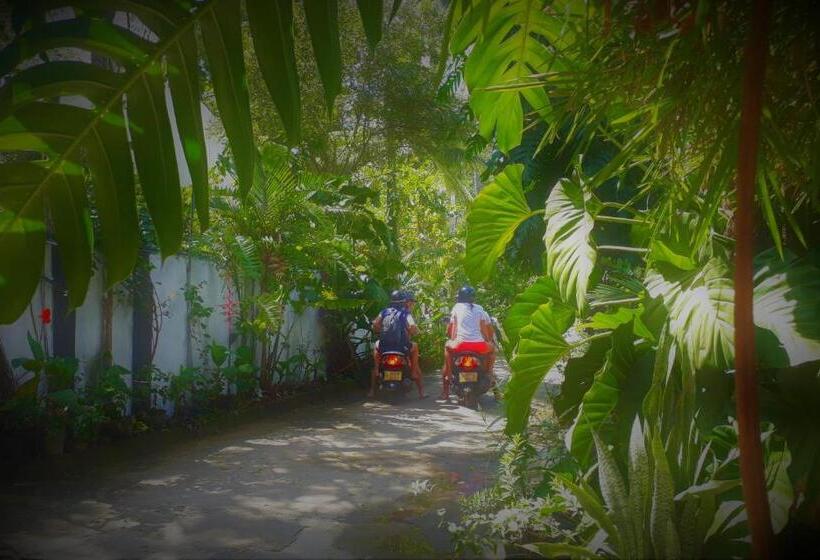 بنسيون Nooit Gedacht Holiday Resort Unawatuna