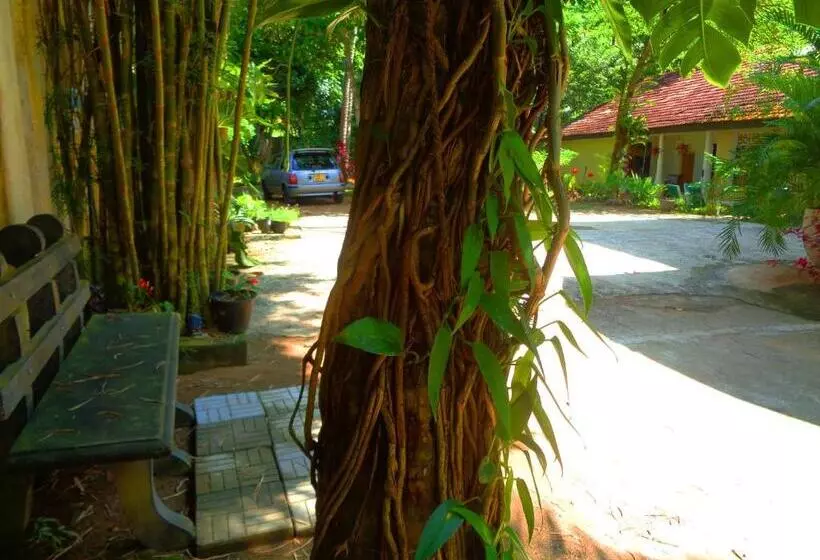 پانسیون Nooit Gedacht Holiday Resort Unawatuna