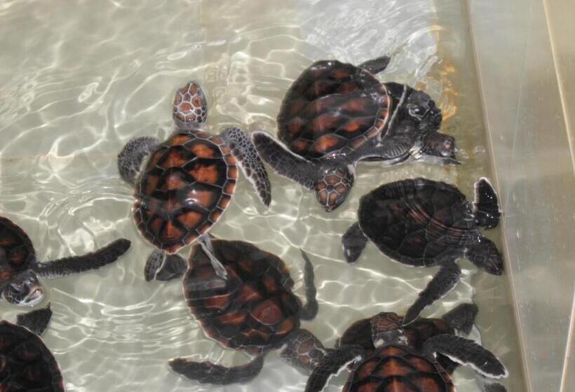 بنسيون Nooit Gedacht Holiday Resort Unawatuna