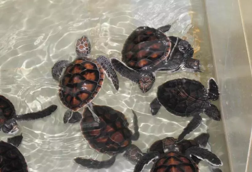 پانسیون Nooit Gedacht Holiday Resort Unawatuna