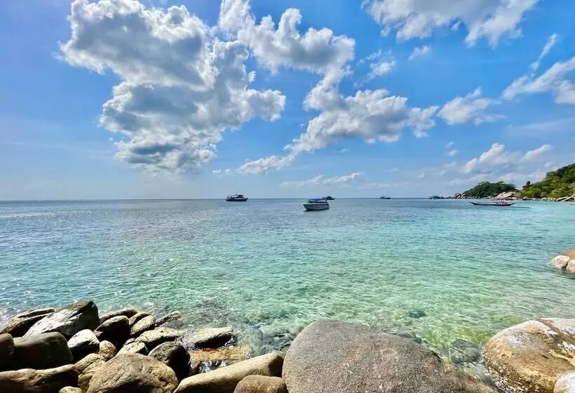 פנסיון P.d. Beach Resort