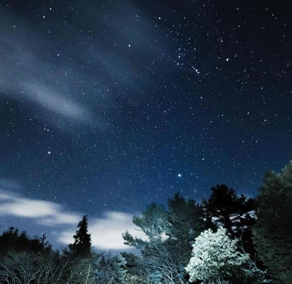 ペンション Warak Guesthouse