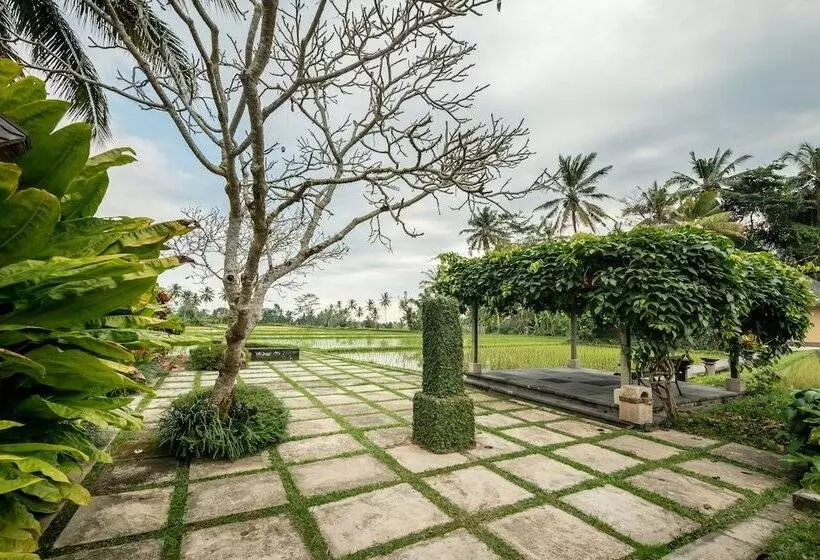 Villa Vajra