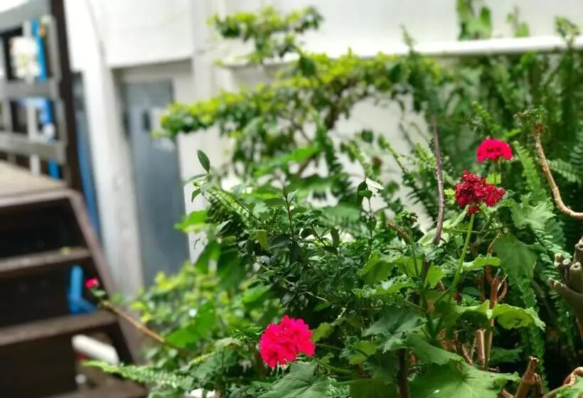 مبيت وإفطار Athenian Villa