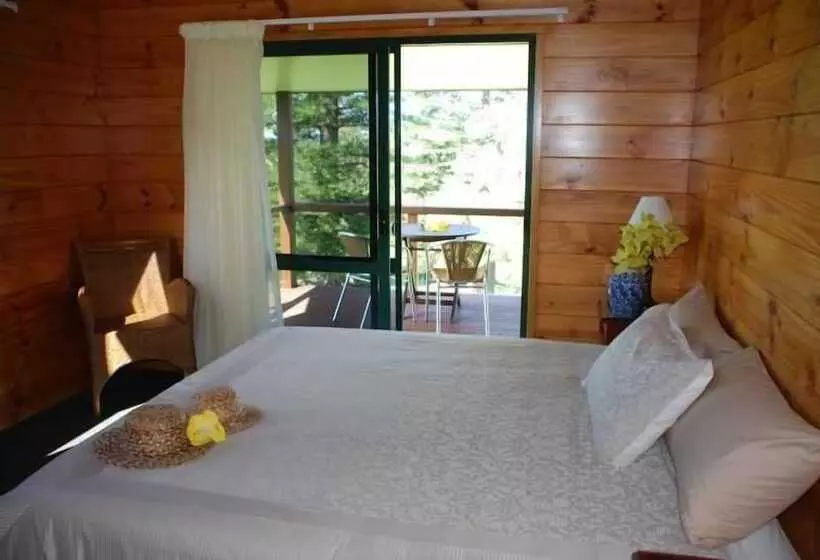 Coast Norfolk Island