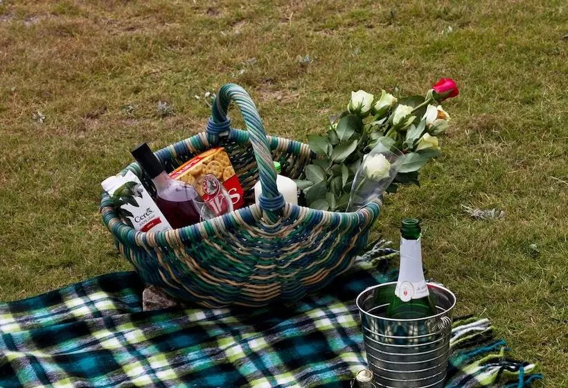 First Group Desert Rose