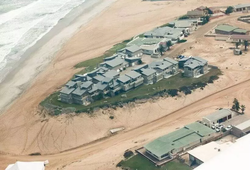 First Group Desert Rose