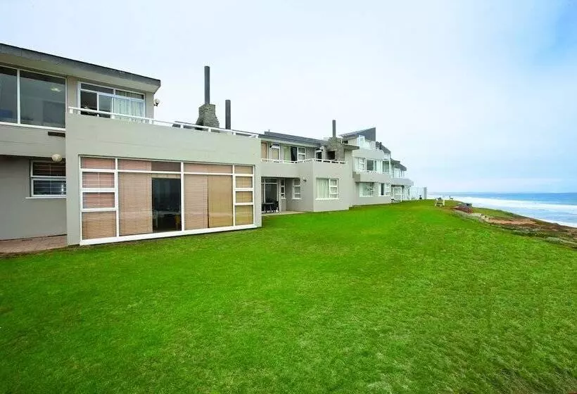 First Group Desert Rose