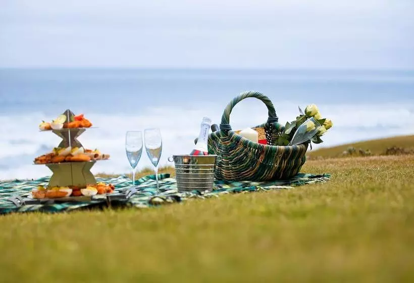 First Group Desert Rose