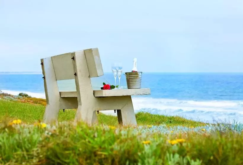 First Group Desert Rose