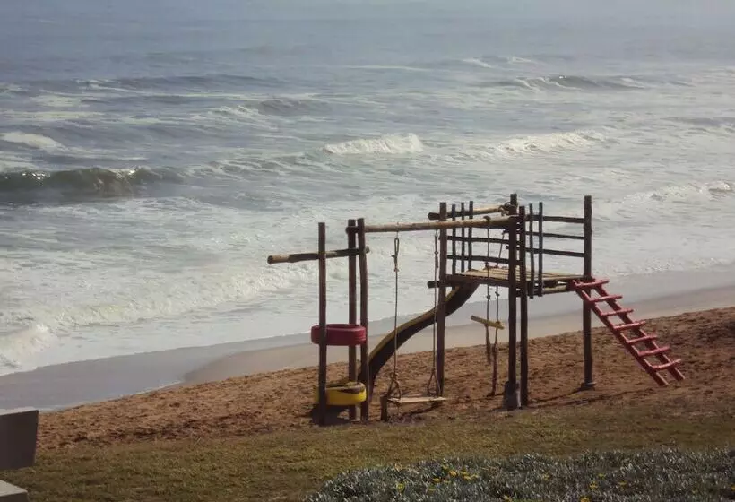 First Group Desert Rose