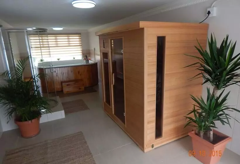 First Group Desert Rose