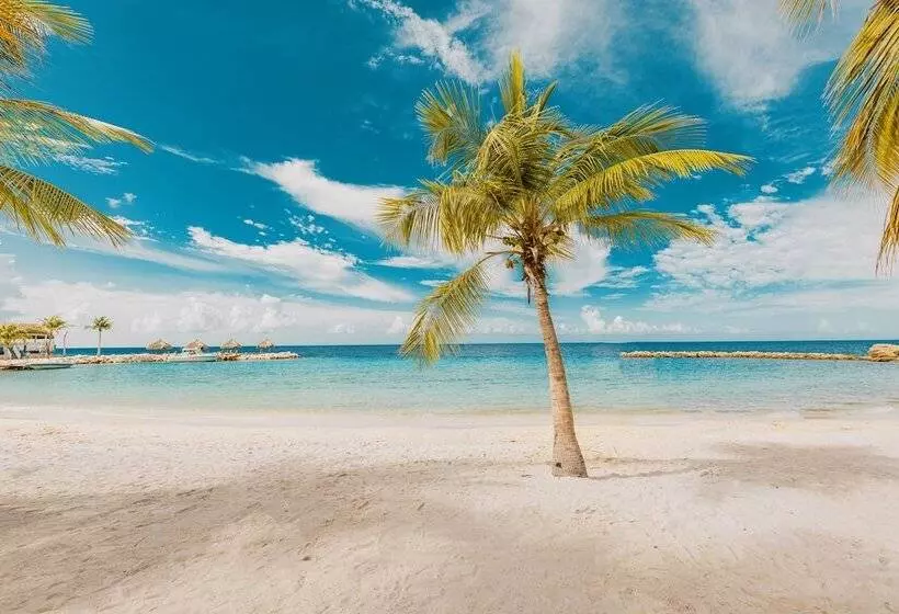 هتل Blue Bay Lodges