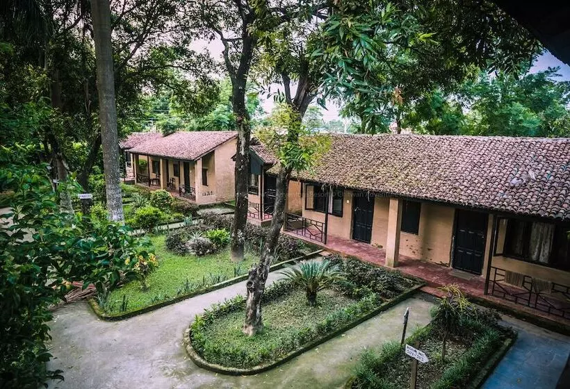 هتل Chitwan Adventure Resort