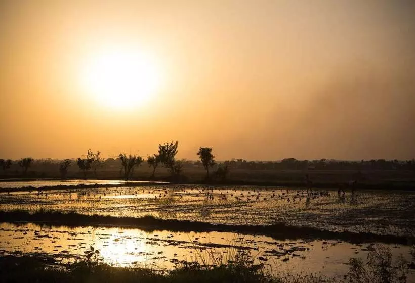 هتل Chitwan Adventure Resort