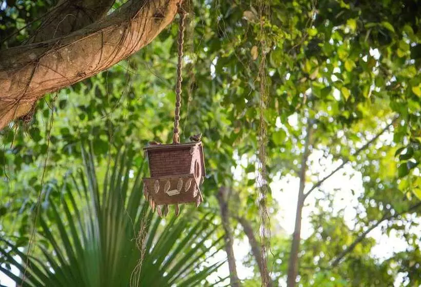 هتل Chitwan Adventure Resort