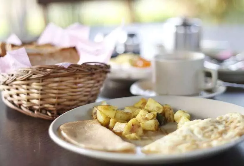 هتل Chitwan Adventure Resort