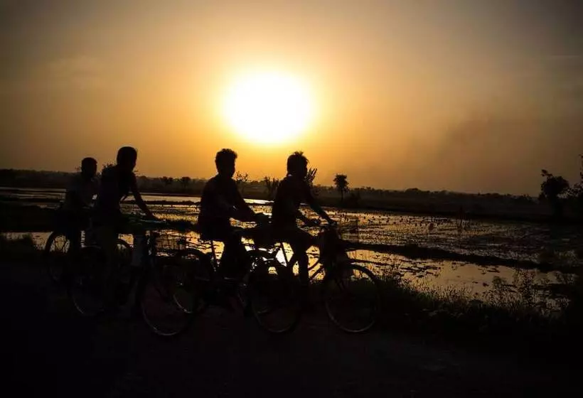 هتل Chitwan Adventure Resort