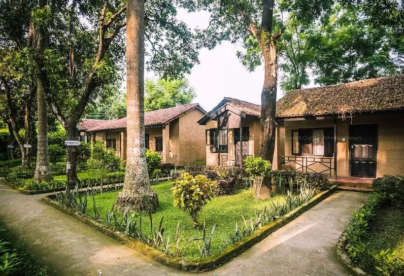 هتل Chitwan Adventure Resort