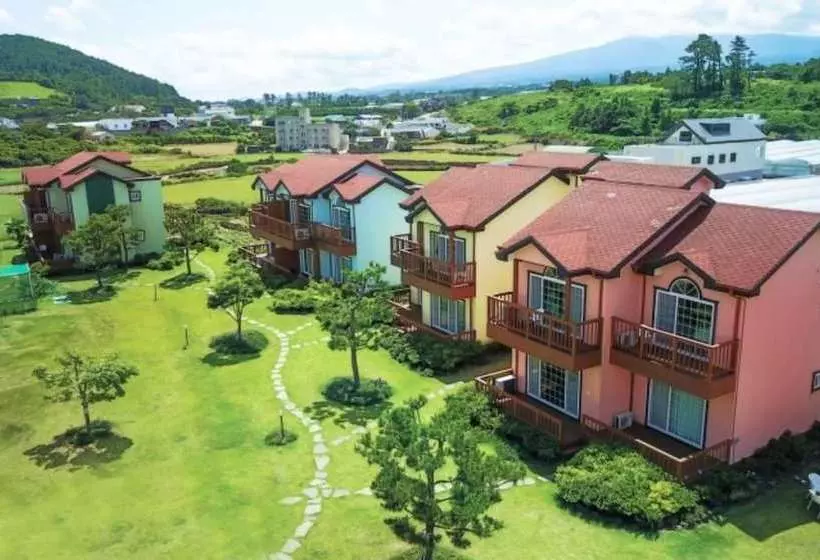 Jeju Time Travel