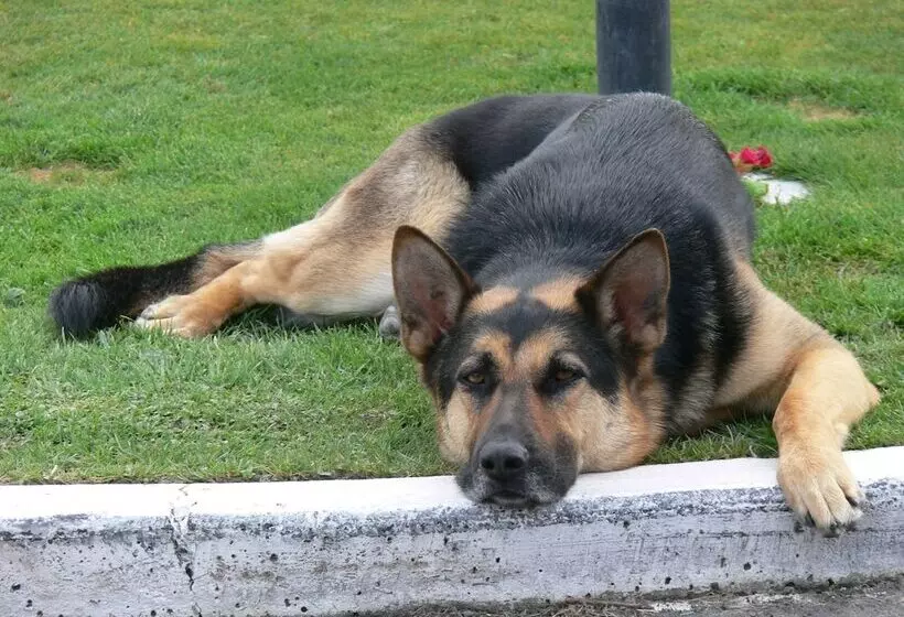 Pavilion Motel & Conference Centre