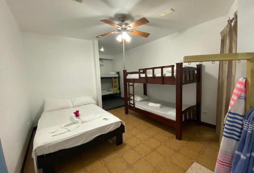 هاستل La Hacienda Rooms & Food