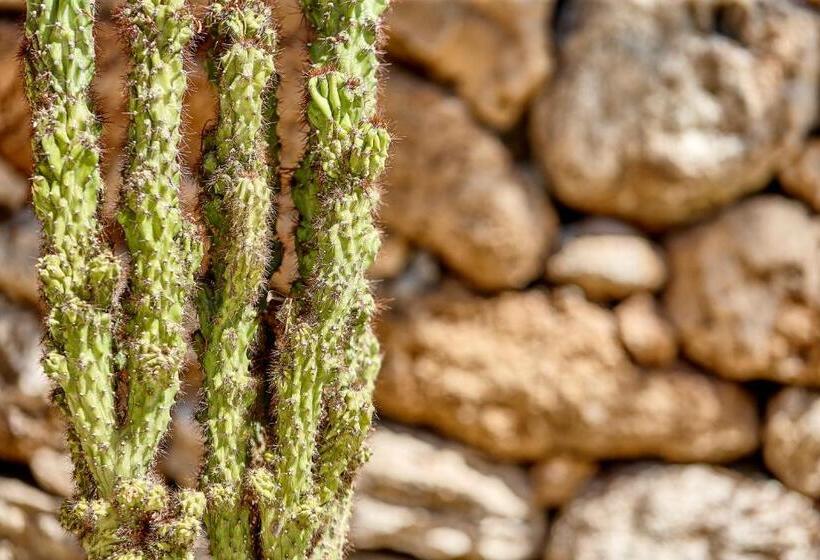 住宿加早餐 Gli Aranci