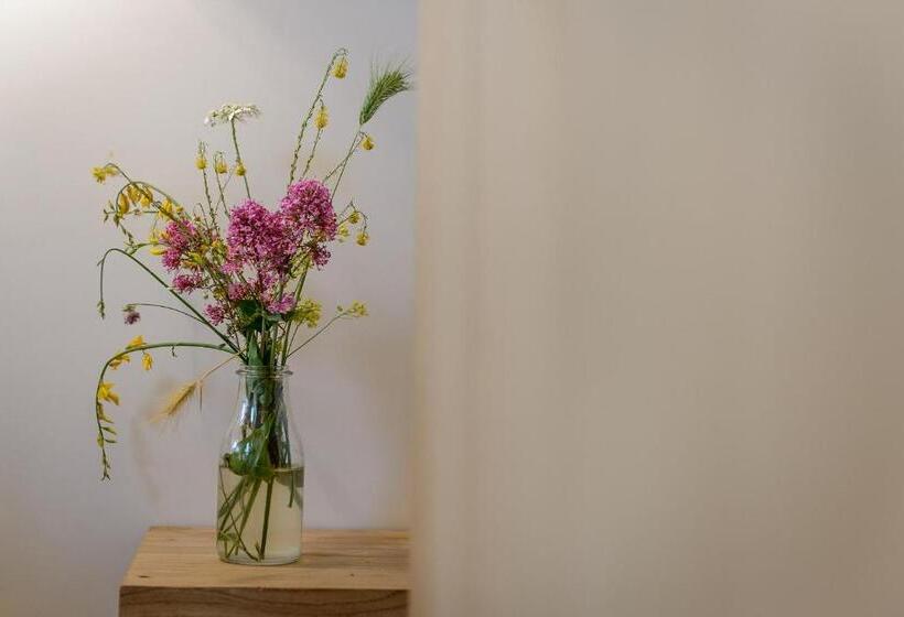 住宿加早餐 Gli Aranci