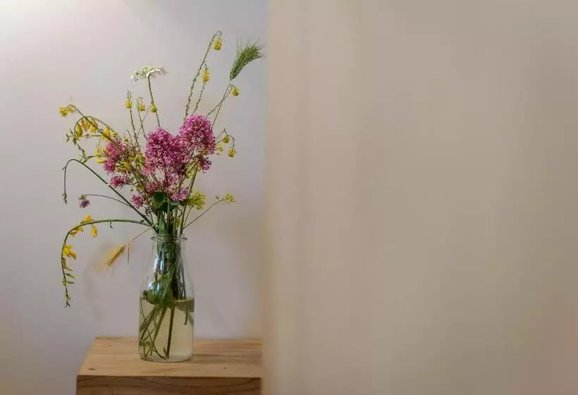 住宿加早餐 Gli Aranci