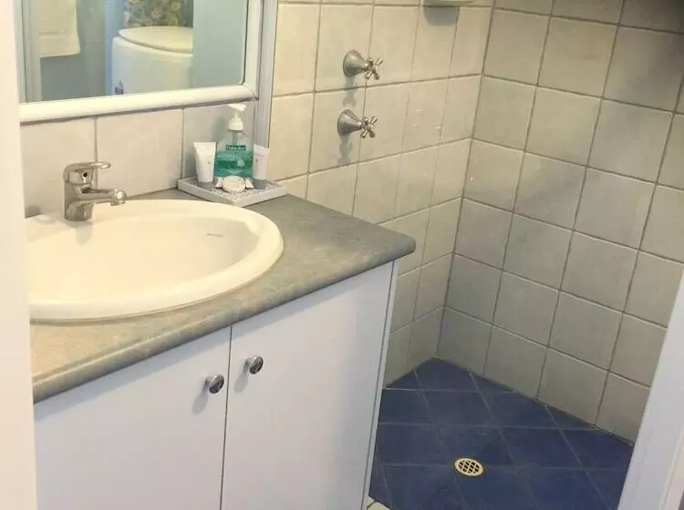 Driftwood Apartments