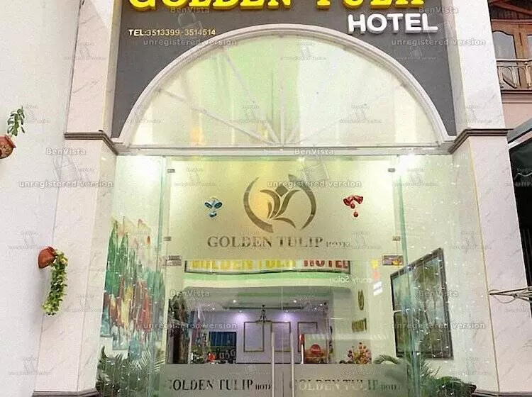 Golden Tulip