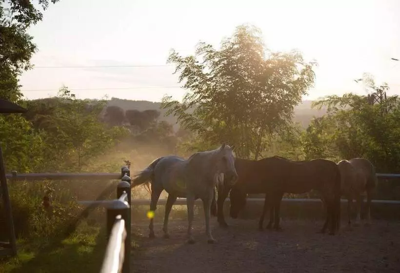 ホテル La Pampa Relais & Spa